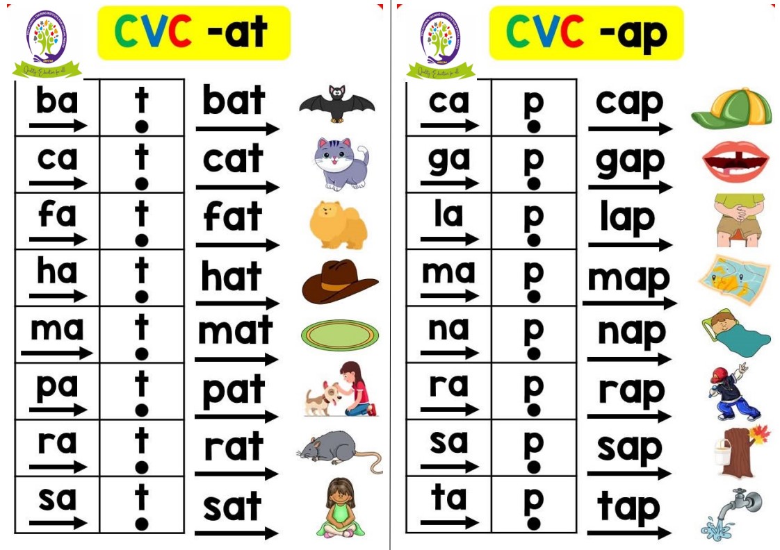 CVC Words: -at & -ap Patterns
